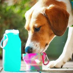 Bübi Bottle Universal Schale 221 ml 7,5 oz bunt 