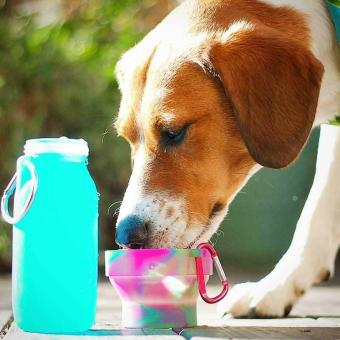 Bübi Bottle Universal Schale 221 ml 7,5 oz bunt 